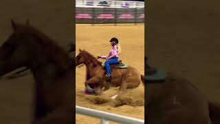 Compilation from Barrel racing Fast horses [upl. by Sivi]