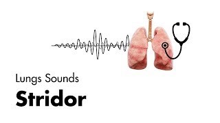 Stridor  Lung Sounds  MEDZCOOL [upl. by Sucramed872]