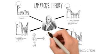 Theory of Evolution  Darwin Lamarck [upl. by Eittam166]