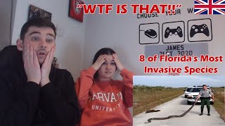 British Couple Reacts to 8 of Floridas Most Invasive Species [upl. by Hernardo]