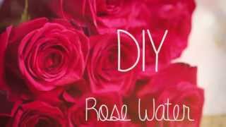 How to make Rose Water ♥ DIY [upl. by Hanshaw]