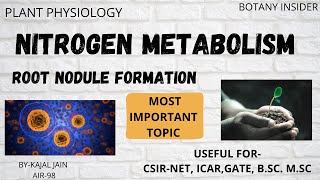 Nitrogen Metabolism  Nitrogen Cycle  Root Nodule Formation  CSIRNET JRF  GATE [upl. by Dailey]