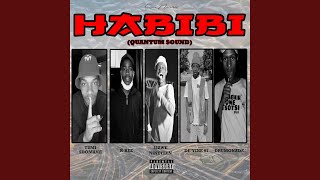 Habibi Quantum Sound feat RBee De’vine 07 Drumonade amp Tumi Sdomane [upl. by Giwdul]