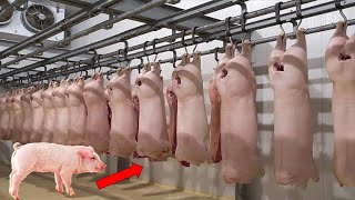 इस तरह फैक्ट्री में काटा जाता है सूअर का मांस  Pork Meat Cutting Factory meatfactory foodproduct [upl. by Eronel]