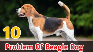 10 problem of beagle dog  Problem Of Dog [upl. by Tubb924]