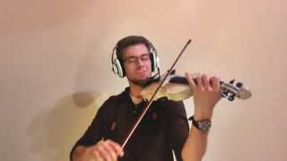 Ed Sheeran  Photograph Violin Cover by Mad Fiddle [upl. by Ahsemit]