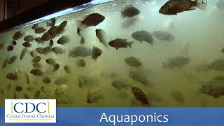 Aquaponics Tour [upl. by Martreb]