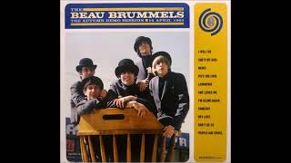 The Beau Brummels  Brown Eyes Stereo [upl. by Gorey]