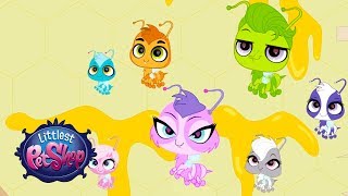 Littlest Pet Shop Season 2  Honey is Good For the Soul Official Clip [upl. by Lundquist]