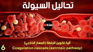 المسار الخارجي coagulation cascade extrinsic pathway [upl. by Julianne]