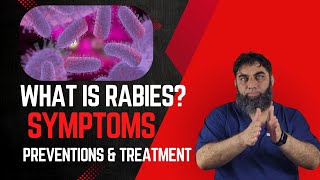 What is Rabies  Syptoms  Preventions amp Treatment [upl. by Carce]