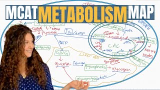 MCAT Biochemistry The 13 Metabolic Pathways Explained [upl. by Eterg]