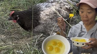 FarmFresh Eggs Taste Test Our First Experience farmfresheggs sustainableliving egg chicken [upl. by Akinehs]