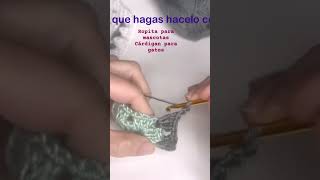 Como tejer cardigan a crochet para mascotas [upl. by Cheri]