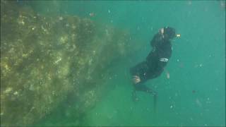 Dive in Berlengas  Portugal 2017 [upl. by Neemsay]