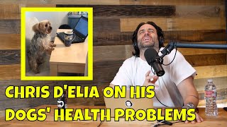 Chris DElia on His Dogs Health Problems and How Much They Cost [upl. by Acinomed]