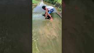 Jodi thake naseeb Apne Apne aashi be Fishing video [upl. by Rutger]