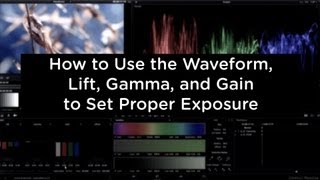 Color Correction How to Use the Waveform Lift Gamma and Gain  cinemaDNG [upl. by Sada]