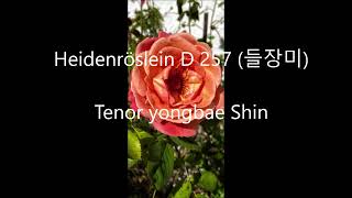 Heidenröslein 들장미  Hwerner테너 신용배tenor yongbae shin음악교과서 수록중고등학교 음악독일가곡 [upl. by Efar]