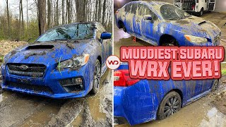 Deep Cleaning The Muddiest Subaru WRX EVER  Insane Satisfying DISASTER Detail Transformation [upl. by Hong]