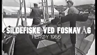 Sildefiske ved Fosnavåg  1956 Med MS Langenes på feltet [upl. by Pansie]