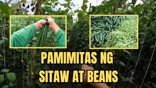 PAMIMITAS NG STIAW AT BEANS [upl. by Safire]