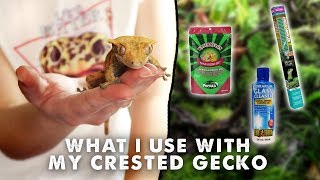 Everything I Use With My Crested Gecko  Tank Lighting Substrate Etc [upl. by Dewees]