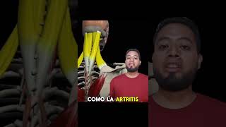 Dolor cervical greenscreen dolor sabiasque fisioterapia cervical medicina mexico [upl. by Dyolf882]