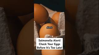 Salmonella Alert Check Your Eggs Before It’s Too Late shorts [upl. by Aicined879]