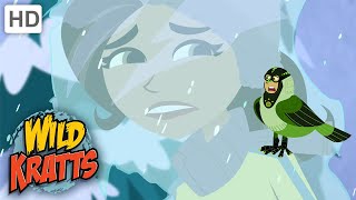 Wild Kratts  TRAPPED In An Ice Storm  Weather [upl. by Enoek406]