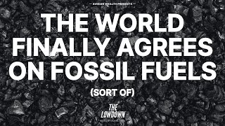 The World Finally Agrees on Fossil Fuels Sort Of  The Lowdown [upl. by Norene]