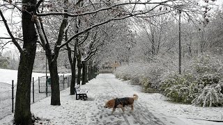 Prognozy na zimę 20242025 Co nas czeka Spore zmiany w warunkach pogodowych [upl. by Shepperd]