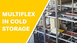 DAMBACH MULTIFLEX palletshuttlesystem in cold storage warehouse [upl. by Arty]