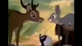 Bambi learns about quotTwitterpatedquot [upl. by Plossl]