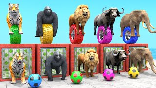 Tiger Elephant Lion Gorilla Buffalo Guess The Right Door ESCAPE ROOM CHALLENGE Animal Cage Game [upl. by Irovi111]