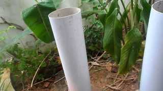 Pipe composting a simple way of disposal of degradable waste [upl. by Hilary]