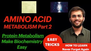 Protein Metabolism Biochemistry Part 2  Amino Acid Metabolism Video  How to learn and Explanation [upl. by Nivanod170]