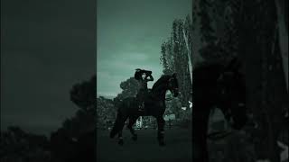 The friesians are so iconic friesian sso shorts edits starstable [upl. by Ym]