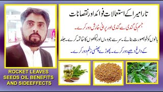 taramira kay fawaid aor nuqsanat  argula plant uses benefits and sideeffects by jolly azeem [upl. by Aevin]