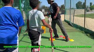 Coaching Session Bat swing fault correction in square cut improve batswing battingcoach batspeed [upl. by Kurzawa]