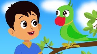 Main Tota Main Tota  Hindi Kids Rhyme  Nursery Songs In Hindi  मैं तोता मैं तोता  Hindi Rhyme [upl. by Aneema]