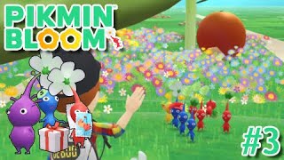 Pikmin Bloom  3 quotExpedition Missionsquot [upl. by Garvy227]