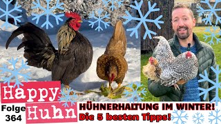 Hühner im Winter Die 5 besten Tipps von Heizen im Hühnerstall bis Fütterung HAPPY HUHN Folge 364 [upl. by Ikey]