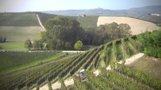 Enoturismo  Cantina Franco Conterno  Barolo [upl. by Siol]