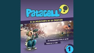 Pata patacell [upl. by Ullman]