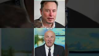 Kevin O’Leary on Elon Musk in US Government [upl. by Alleyn]