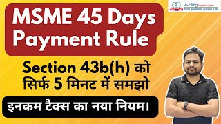 MSME Payment within 45 Days Rule  Section 43bh of Income Tax Act [upl. by Teyut]