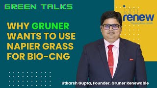 Napier Grass A Boon For BioCNG Plants Utkarsh Gupta Founder Gruner Renewable [upl. by Attaynik]