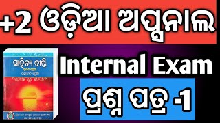 Internal exam Odia Optional question paper 1  2 chse board exam 2025  2 chse board 2025 [upl. by Ialda]