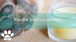 Recette pour chien  baume pour protéger les coussinets  Assur OPoil [upl. by Olnek131]